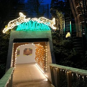 DECOLED Hadica LED 100 m, teplá biela, IP44 Easy Fix