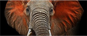 Obraz - Slony z Tsavo (120x50 cm)