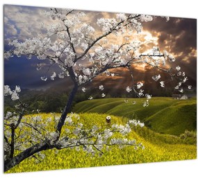 Sklenený obraz - Rozkvitnutý strom v krajine (70x50 cm)