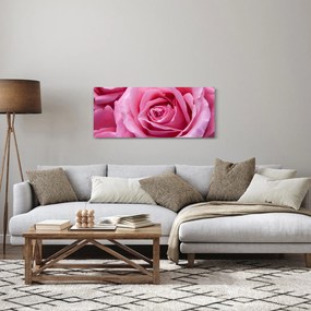 Obraz ruže (120x50 cm)