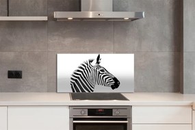 Nástenný panel  ilustrácie zebra 120x60 cm