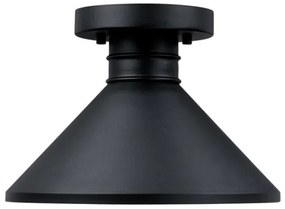 Westinghouse 61238 - Vonkajšie stropné svietidlo WALTER 1xE27/60W/230V IP44