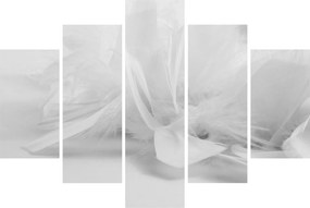 Obraz - Perie (150x105 cm)