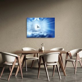 Sklenený obraz - Božia holubica (70x50 cm)