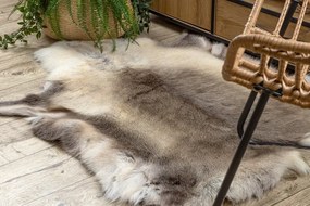 Koberec RENIFER POK012 sivý / béžový