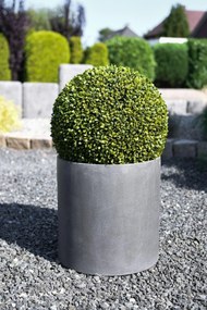 Umelá rastlina BUX, priemer 48 cm, plast, zelená