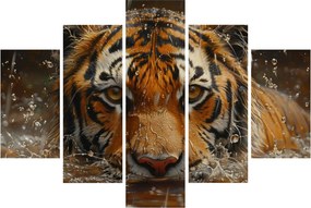 Obraz - Portrét tigra vo vode (150x105 cm)
