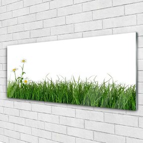 Obraz na akrylátovom skle Burina príroda rastlina 125x50 cm