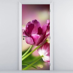 Fototapeta na dvere - Ružové tulipány (95x205cm)