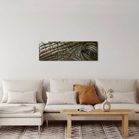 Obraz - Detailné fotografie starého slonieho oka (s hodinami) (90x30 cm)