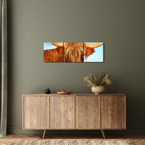 Obraz - Škótska krava (s hodinami) (90x30 cm)