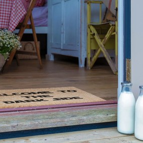 Rohožka z kokosového vlákna 40x60 cm Welcome to the Darkside – Artsy Doormats