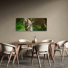 Obraz bežiaceho tigra (120x50 cm)