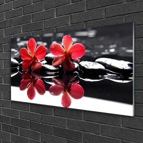 Obraz na skle Kvet kamene rastlina 100x50 cm
