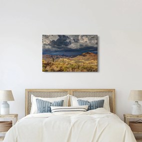 Obraz - kaktusy v prírode (90x60 cm)