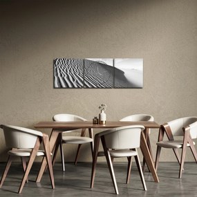 Obraz - Piesočná duna (s hodinami) (90x30 cm)