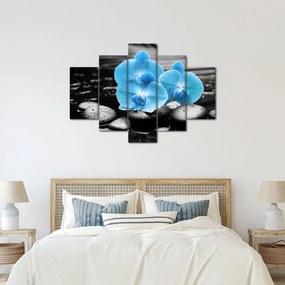 Obraz - Modrá orchidea (150x105 cm)