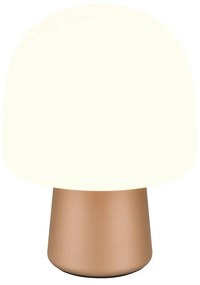 Stolová lampa v bielo-bronzovej farbe so skleneným tienidlom (výška 27 cm) Steen – Trio