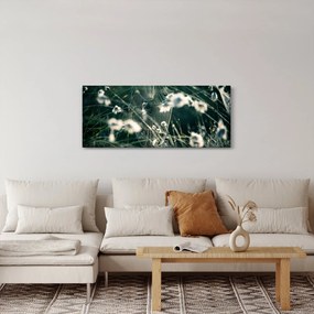 Obraz - Pavučina (120x50 cm)