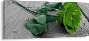 Obraz - Zelená ruža (120x50 cm)