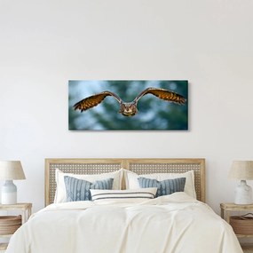 Obraz - Sova pri lete (120x50 cm)