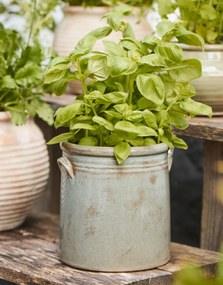 Ib Laursen Keramický obal na kvetináč s uchami Grey 15 cm