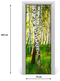 Fototapeta na dvere samolepiace Břízová les 75x205 cm