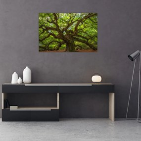 Obraz - Zelený strom (90x60 cm)