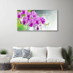 Obraz Canvas Orchidey kvapky príroda 120x60 cm