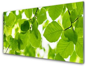 Obraz na akrylátovom skle Listy príroda rastlina 140x70 cm
