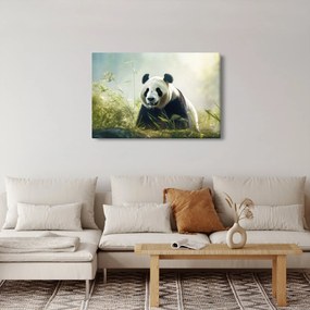 Obraz - Panda (90x60 cm)