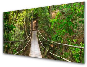 Skleneny obraz Most džungľa tropický les 125x50 cm