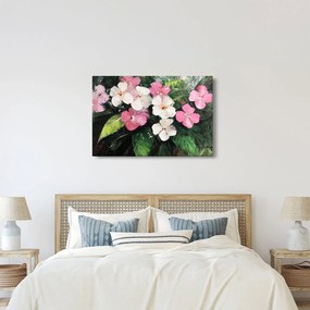 Obraz - Ružové a biele kvety (90x60 cm)