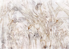 Sklenený obraz - Kosatce (70x50 cm)