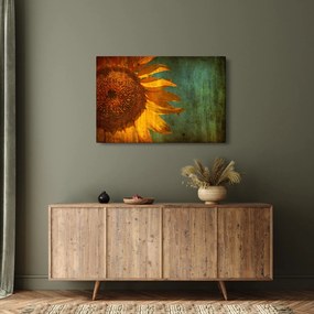 Obraz - Slnečnica (90x60 cm)