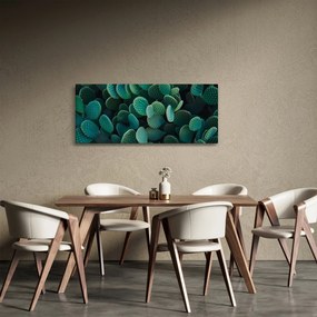 Obraz - Opuncie (120x50 cm)
