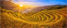 Obraz - Ryžové terasy vo Vietname (120x50 cm)