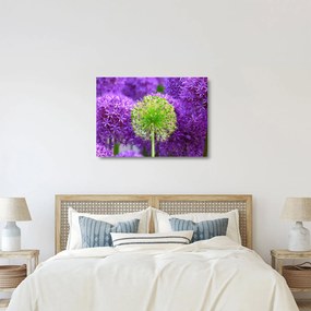 Sklenený obraz kvetu (70x50 cm)