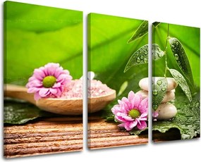 Obraz na stenu FENG SHUI