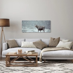 Obraz - Los v zasneženom lese (120x50 cm)