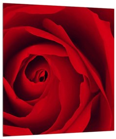 Obraz ruže (30x30 cm)