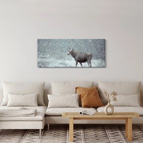 Obraz - Los v zasneženom lese (120x50 cm)