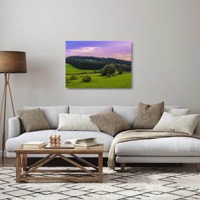 Sklenený obraz lúky (70x50 cm)