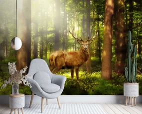 Gario Fototapeta Jeleň v lese Materiál: Vliesová, Rozmery: 350 x 245 cm