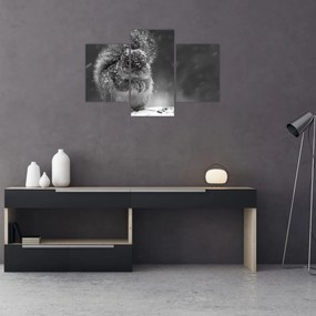 Obraz - Veverička v zime (90x60 cm)