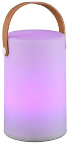 LED solárne vonkajšie svietidlo na diaľkové ovládanie (výška 21 cm) Aruba – Trio