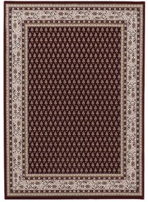 Koberce Breno Kusový koberec CLASSICO/PALACIO 4446/C78C, viacfarebná,80 x 140 cm