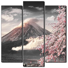 Obraz na plátne - Hora Fuji a čerešňové kvety na jar - štvorec 3266QC (105x105 cm)