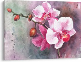 Obraz - Orchidey, aquarel (70x50 cm)