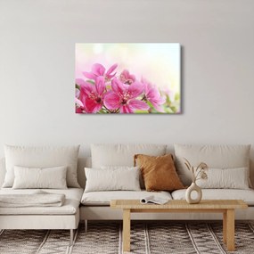 Obraz - Ružové kvety (90x60 cm)